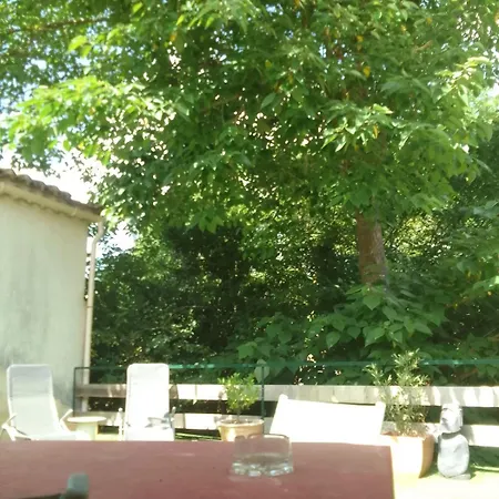Dans Les Arbres * Saint-Paulet-de-Caisson